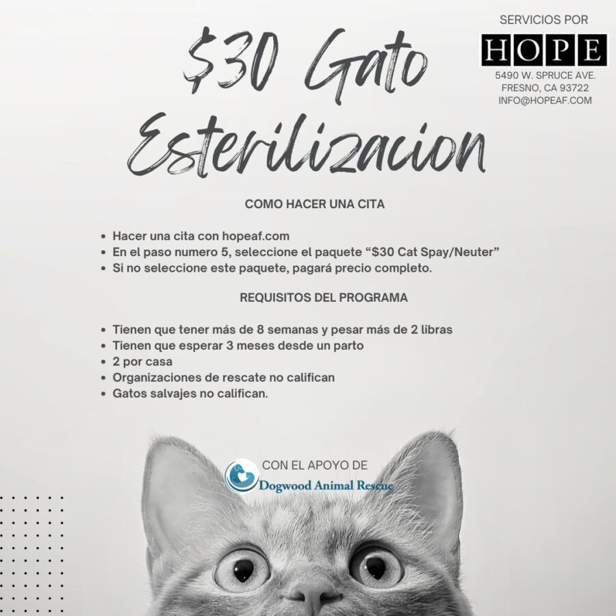 HOPE Animal Foundation | Spay, Neuter & Vet Services in Fresno CA