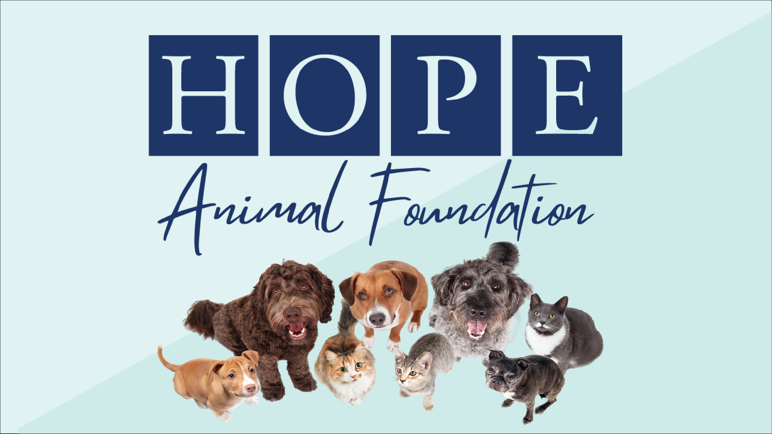 HOPE Animal Foundation