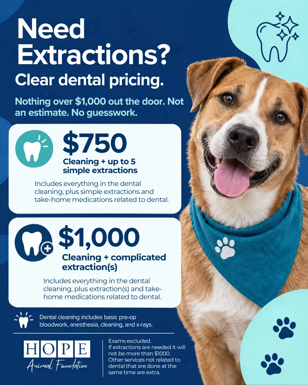 Hope Animal Foundation flat-rate dog dental extraction pricing: $750 for cleaning plus up to 5 simple extractions, and $1,000 for cleaning plus complicated extractions, featuring a smiling dog wearing a bandana.